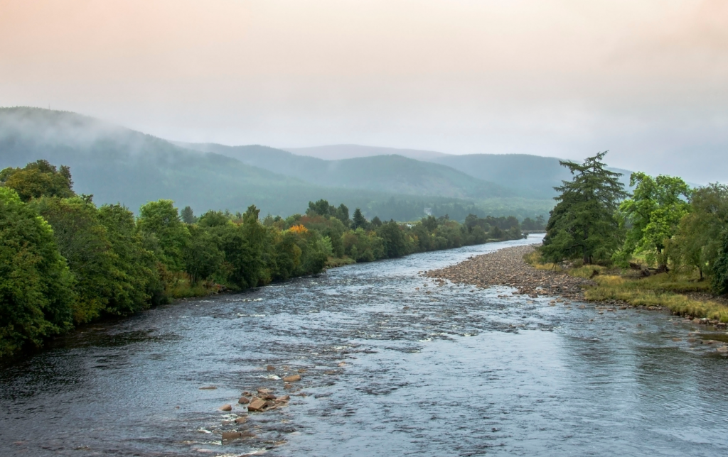 Fidra welcome the UK Government’s new Environmental Improvement Plan (EIP) 2025, and take a closer look at the commitments, highlights, and next steps to protect our environment from pollution.