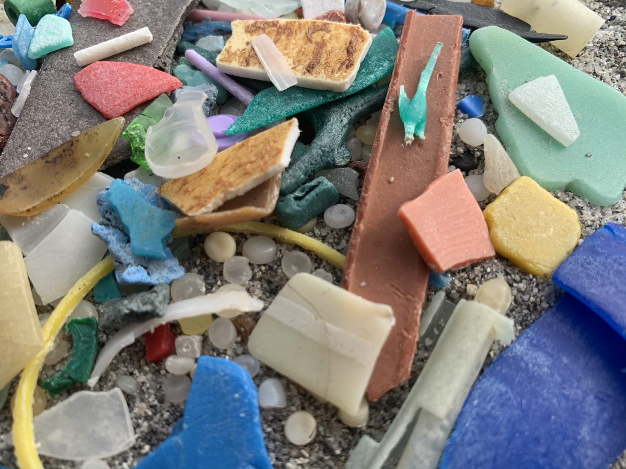 Tiny plastics, big problem. What we know about microplastic impacts Fidra