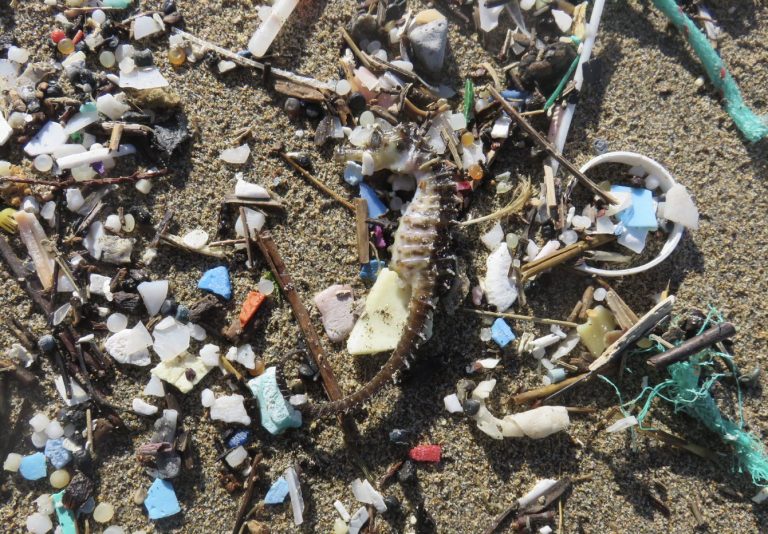 Tiny plastics, big problem. What we know about microplastic impacts Fidra